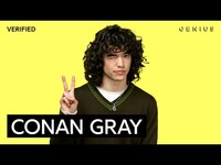 Thumbnail for the Conan Gray - "Alley Rose" Official Lyrics & Meaning | Genius Verified link, provided by host site