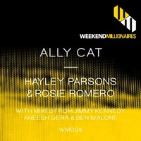 Thumbnail for the Rosie Romero - Ally Cat - Ben Malone Mix link, provided by host site