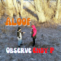 Thumbnail for the Observe - Aloof link, provided by host site