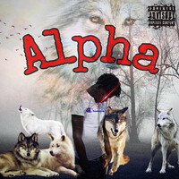 Thumbnail for the Day1 - Alpha link, provided by host site