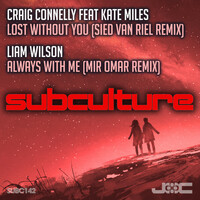 Thumbnail for the Liam Wilson - Always With Me - Mir Omar Remix link, provided by host site