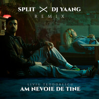 Thumbnail for the Liviu Teodorescu - Am nevoie de tine (Split x DJ Yaang Remix) link, provided by host site