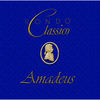 Thumbnail for the Rondo Classico - Amadeus link, provided by host site