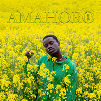 Thumbnail for the Clovis - AMAHORO link, provided by host site