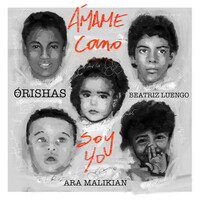 Thumbnail for the Orishas - Ámame Como Soy Yo link, provided by host site