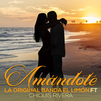 Thumbnail for the La Original Banda El Limón de Salvador Lizárraga - Amandote link, provided by host site