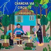 Thumbnail for the Chancha Via Circuito - Amansara link, provided by host site