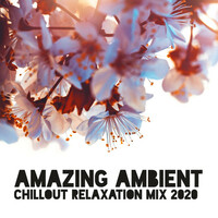 Thumbnail for the Electro Lounge All Stars - Amazing Ambient Chillout Relaxation Mix 2020 link, provided by host site