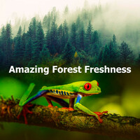 Thumbnail for the Deep Forest - Amazing Forest Freshness link, provided by host site