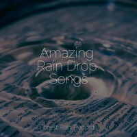 Thumbnail for the Rainforest - Amazing Rain Drop Songs link, provided by host site