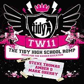 Thumbnail for the Amber D - Amber D Live At The Tidy Weekender 11 link, provided by host site