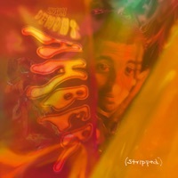 Thumbnail for the Unusual Demont - Amber (Stripped) link, provided by host site