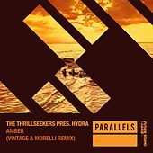 Thumbnail for the Hydra - Amber (Vintage & Morelli Remix) (The Thrillseekers Presents) link, provided by host site