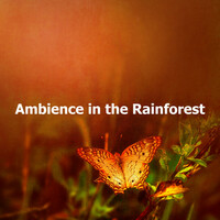 Thumbnail for the Deep Forest - Ambience in the Rainforest link, provided by host site