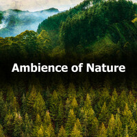 Thumbnail for the Echoes Of Nature - Ambience of Nature link, provided by host site
