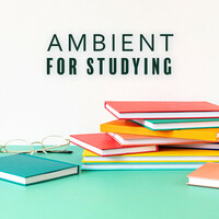 Thumbnail for the Reading and Studying Music - Ambient for Studying: Improve Your Brain, Frequencies for Studying link, provided by host site