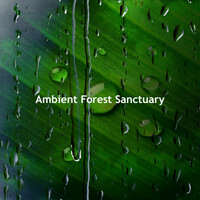 Thumbnail for the Deep Forest - Ambient Forest Sanctuary link, provided by host site