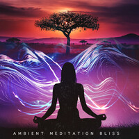 Thumbnail for the Meditation Relaxation Club - Ambient Meditation Bliss link, provided by host site