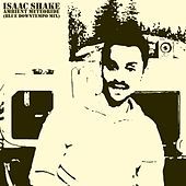 Thumbnail for the Isaac Shake - Ambient Meteoride (Blue Downtempo Mix) link, provided by host site
