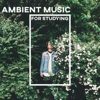 Thumbnail for the Reading and Studying Music - Ambient Music for Studying: Motivational Songs with Water Sounds for Full Science Immersion link, provided by host site