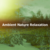 Thumbnail for the Echoes Of Nature - Ambient Nature Relaxation link, provided by host site