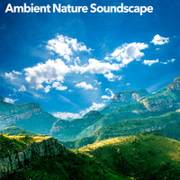 Thumbnail for the Echoes Of Nature - Ambient Nature Soundscape link, provided by host site