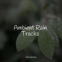Thumbnail for the Deep Sleep Meditation - Ambient Rain Tracks link, provided by host site