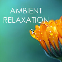 Thumbnail for the Nature Caldwell - Ambient Relaxation - Nature Sounds and Music, Biosphere & Spa Songs Collection link, provided by host site