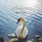 Thumbnail for the The Rest - Ambient Rest Time – New Age 2017, Stress Relief, Rest, Nature Sounds, Relaxing Music, Anti-Stress Music link, provided by host site