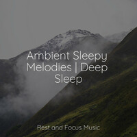 Thumbnail for the Echoes Of Nature - Ambient Sleepy Melodies | Deep Sleep link, provided by host site