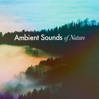 Thumbnail for the Sounds of Nature Relaxation - Ambient Sounds of Nature link, provided by host site