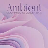 Thumbnail for the Reading and Studying Music - Ambient Study Music to Concentrate link, provided by host site
