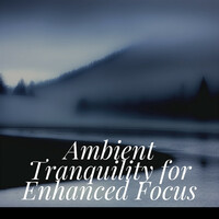 Thumbnail for the Focus - Ambient Tranquility for Enhanced Focus link, provided by host site