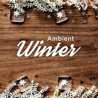 Thumbnail for the Piano: Classical Relaxation - Ambient Winter link, provided by host site