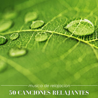 Thumbnail for the Musica Relajante - Ambiente link, provided by host site