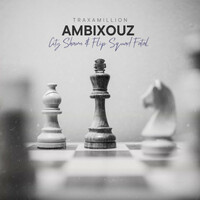 Thumbnail for the City Shawn - Ambixouz link, provided by host site