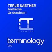 Thumbnail for the Terje Saether - Ambrose / Understrom link, provided by host site