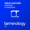 Thumbnail for the Terje Saether - Ambrose / Understrom link, provided by host site