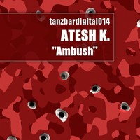Image of Atesh K. linking to their artist page due to link from them being at the top of the main table on this page