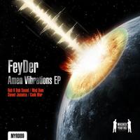 Thumbnail for the FeyDer - Amen Vibration link, provided by host site