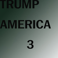 Thumbnail for the Trump - America 3 (Radio Edit) link, provided by host site