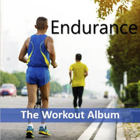 Thumbnail for the Local Hero - American Pie - Endurance Mix link, provided by host site