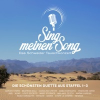 Thumbnail for the Adrian Stern - Amerika (Duett Version, aus "Sing meinen Song, Vol. 2") link, provided by host site