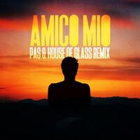 Thumbnail for the Nek - Amico mio (PAS & House Of Glass Remix) link, provided by host site