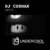 Thumbnail for the DJ Csemak - Amigo link, provided by host site