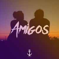 Thumbnail for the Anchor - AMIGOS link, provided by host site