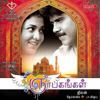 Thumbnail for the Krishh - Ammannu Solluthu link, provided by host site