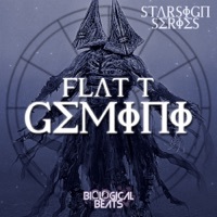 Thumbnail for the Flat T - Ammuntion link, provided by host site