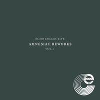 Thumbnail for the Echo Collective - Amnesiac Reworks Vol. 2 link, provided by host site