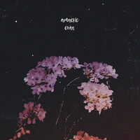 Thumbnail for the Evan - amnèsie link, provided by host site